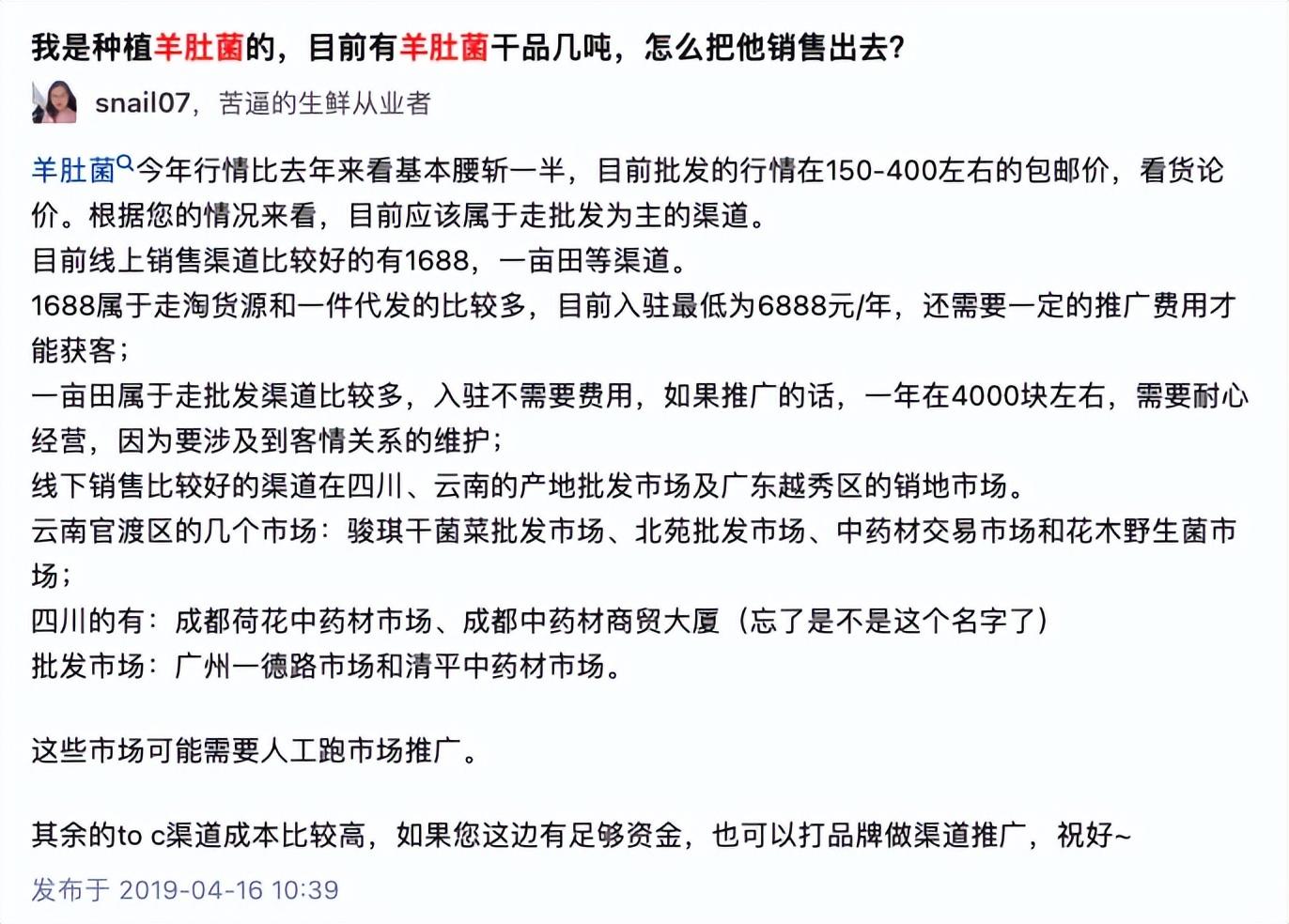 羊肚菌大田化种植新技术_羊肚菌大田栽培新技术_田间示范秀羊肚菌种植