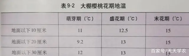 种植樱桃树的技术_樱桃树苗种植技术_樱桃树的种植条件