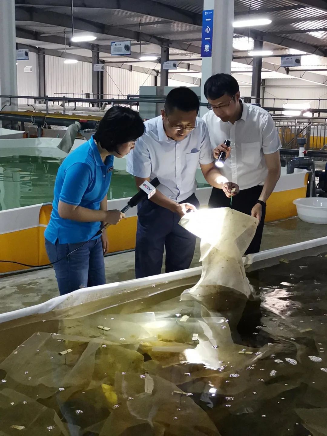 海参养殖视频教程_海参养殖挣钱吗_养殖海参致富视频