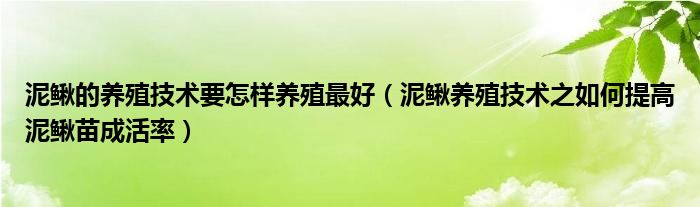 泥鳅的养殖技术要怎样养殖最好（泥鳅养殖技术之如何提高泥鳅苗成活率）