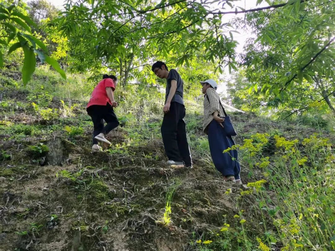 潘挑种植技术_潘桃亩产量多少斤_潘桃树新品种