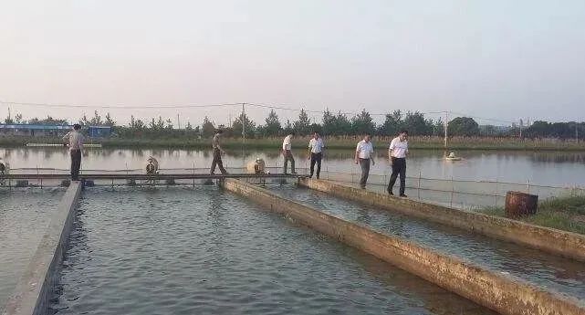 室内水产养殖视频_水产养殖用水_室内水水产养殖技术