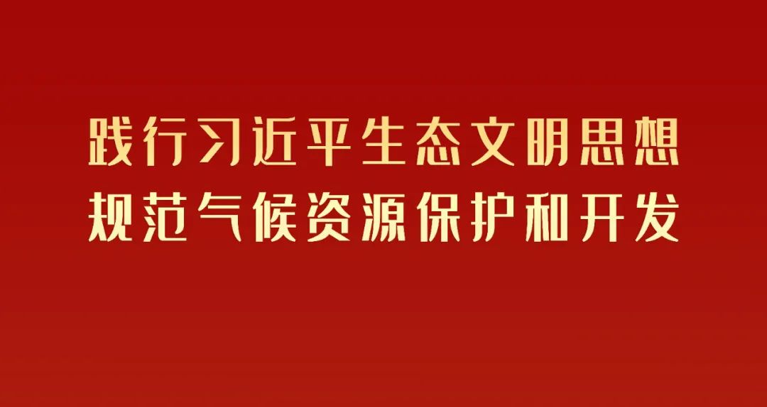 茶叶种植助力脱贫攻坚_种植茶叶的前景如何_茶叶种植带头致富