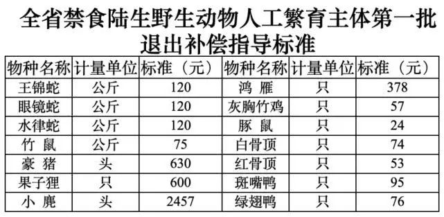 养殖蛇技术视频_蛇养殖技术_养殖蛇技术及管理