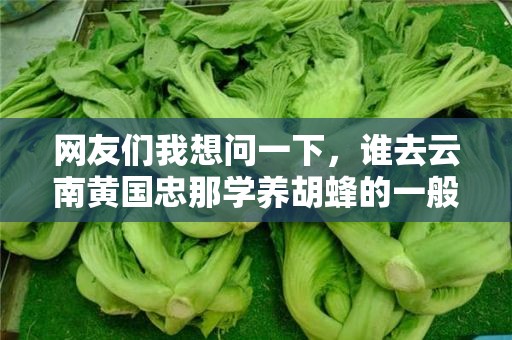 网友们我想问一下，谁去云南黄国忠那学养胡蜂的一般学多久才学会？