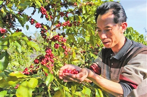 春季大豆的种植时间_春季豆类种植_春季致富豆种植