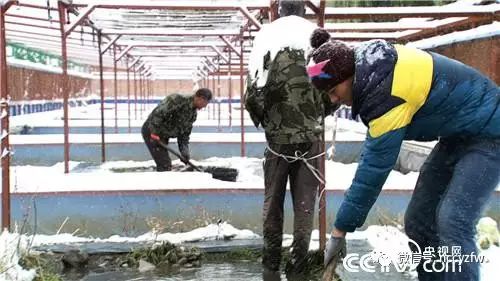 林蛙大王朱志明_致富经林蛙养殖视频_致富经朱志明林蛙养殖