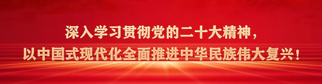 致富豌豆种植技术视频_豌豆种植效益_豌豆种植致富