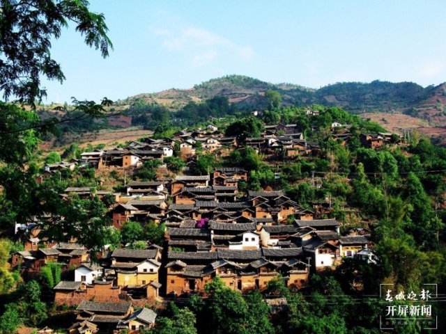 大理这十年｜在巍山种下一个梦想，把这里变成柠檬之乡（开屏新闻记者 杨维琦 摄）