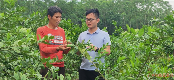 种植柠檬能致富_致富柠檬能种植吗视频_致富柠檬能种植吗