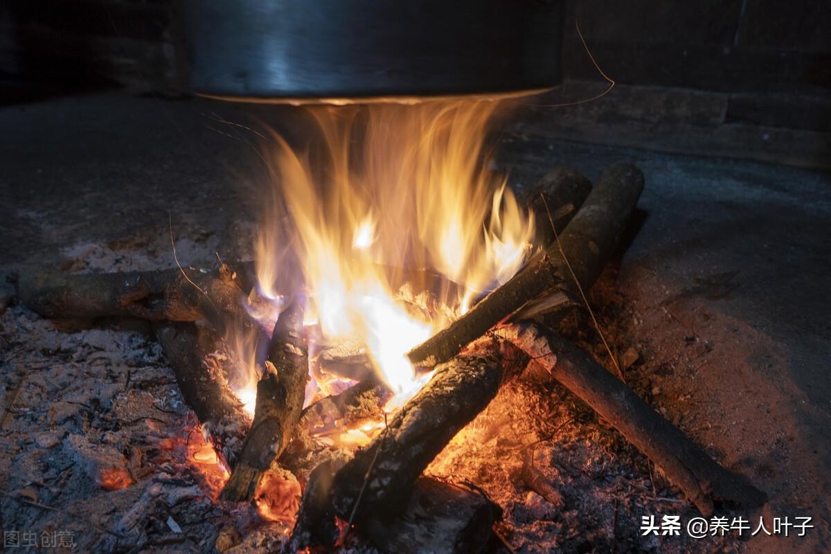 松茸种植技术及利润_种植松茸利润怎么样_种植利润松茸技术怎么样