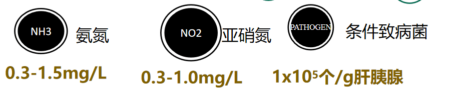 养殖水面是什么_水面养殖什么最挣钱_大水面养殖技术发展