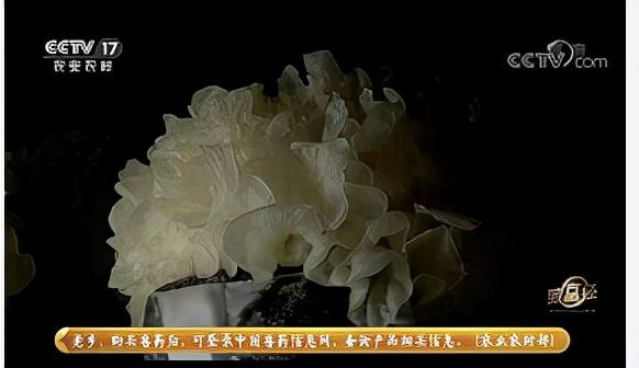 央视农业节目致富经_cctv17农业频道致富经_cctv农业节目致富经