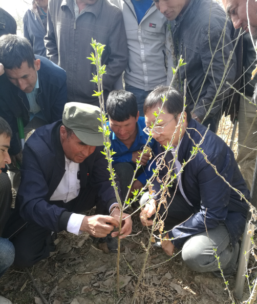 沙漠村庄有什么东西_致富经沙漠上建村庄_沙漠村民