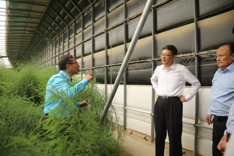 致富经沙漠上建村庄_沙漠村民_沙漠村庄有什么东西