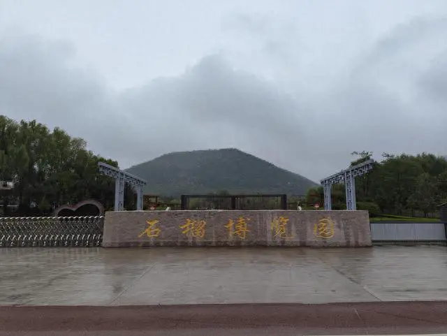 致富石榴种植视频_致富经种植石榴_石榴的种植前景与收益