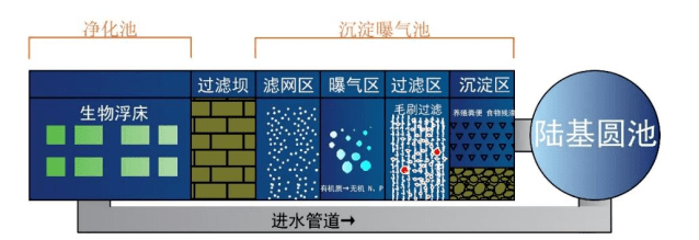 流水网箱养殖草鱼技术_流水养殖草鱼网箱技术要求_流水养殖草鱼网箱技术规范