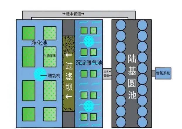 流水养殖草鱼网箱技术要求_流水网箱养殖草鱼技术_流水养殖草鱼网箱技术规范