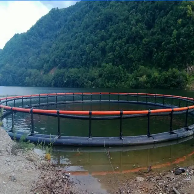 草鱼网箱养殖技术视频_草鱼网箱养殖视频_流水网箱养殖草鱼技术