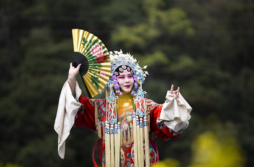 种田养殖致富项目_致富养殖种田项目有哪些_致富养殖好项目