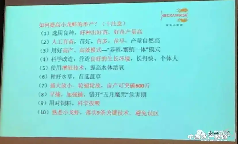 龙虾增氧到底什么方法好_龙虾养殖技术增氧_龙虾养殖技术增氧方法