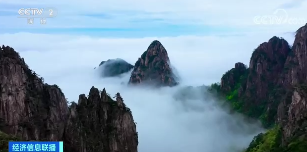 致富经旱半夏种植视频_致富经 半夏_致富经种半夏