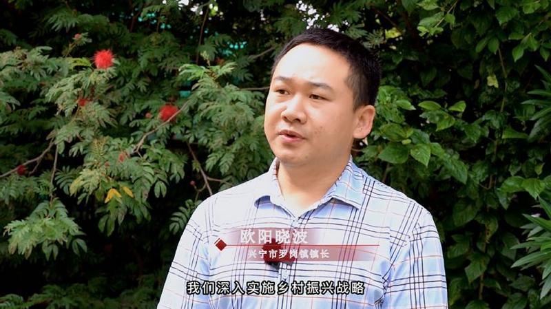 农村油茶种植致富_农村种植油茶如何_致富种植农村油茶产品