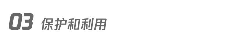 乌龟致富养殖方法_致富经养殖乌龟_乌龟养殖户