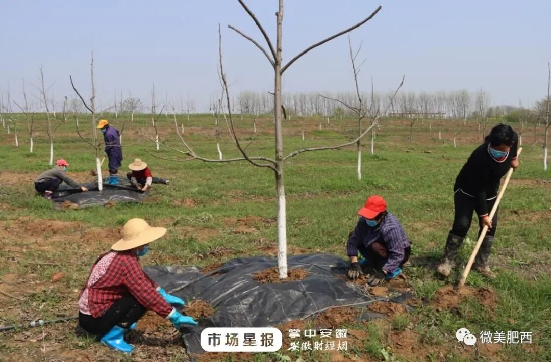 致富经人工箱养虾_养殖箱养虾_致富经养虾