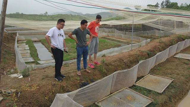 台湾泥鳅 致富经_台湾泥鳅养殖视频播放_台湾泥鳅养殖前景与利润