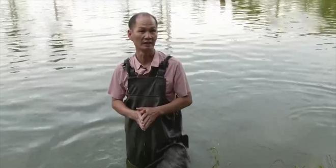 养殖鮸鱼_养殖鳊鱼_鮰鱼养殖致富