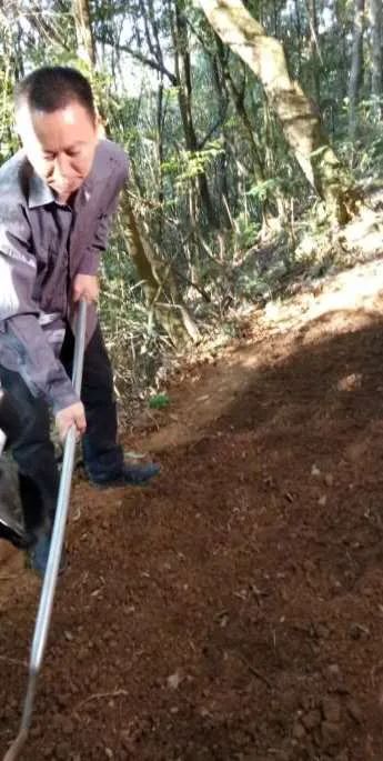 高粱种植视频_高粱种植技术与亩产量_农广天地高粱种植技术