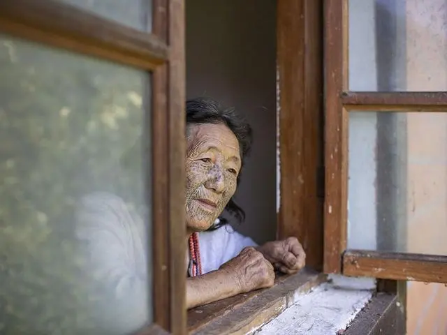 致富经生态养殖猪视频_致富养猪场是真的吗_致富经 烤乳猪