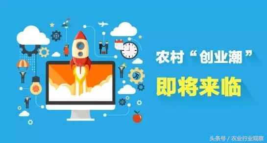 农村创业：9个成功案例、4个失败案例（都能找到自己的影子）