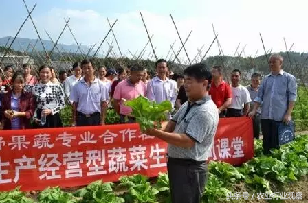 致富经乌骨羊养殖视频_致富经乌骨羊_cctv7 致富经乌骨羊