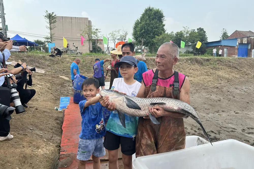 佛山草鱼批发市场在哪里_佛山草鱼苗批发价格_致富经佛山草鱼