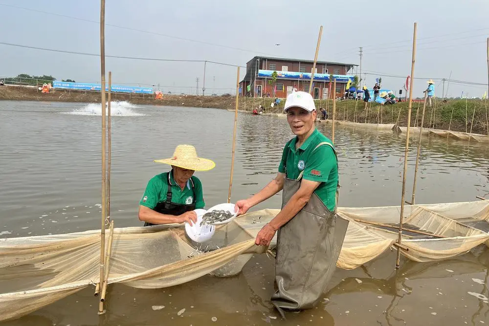 佛山草鱼批发市场在哪里_致富经佛山草鱼_佛山草鱼苗批发价格