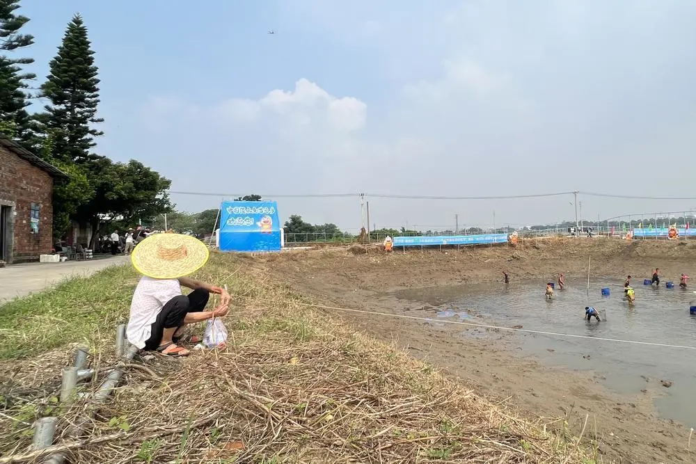 致富经佛山草鱼_佛山草鱼苗批发价格_佛山草鱼批发市场在哪里