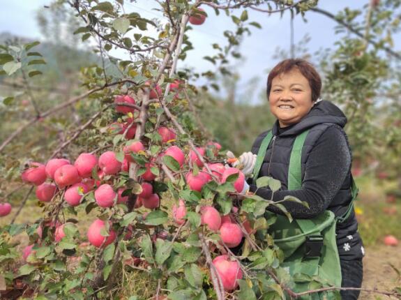 方山种植致富_方山的植物_致富种植方山图片大全