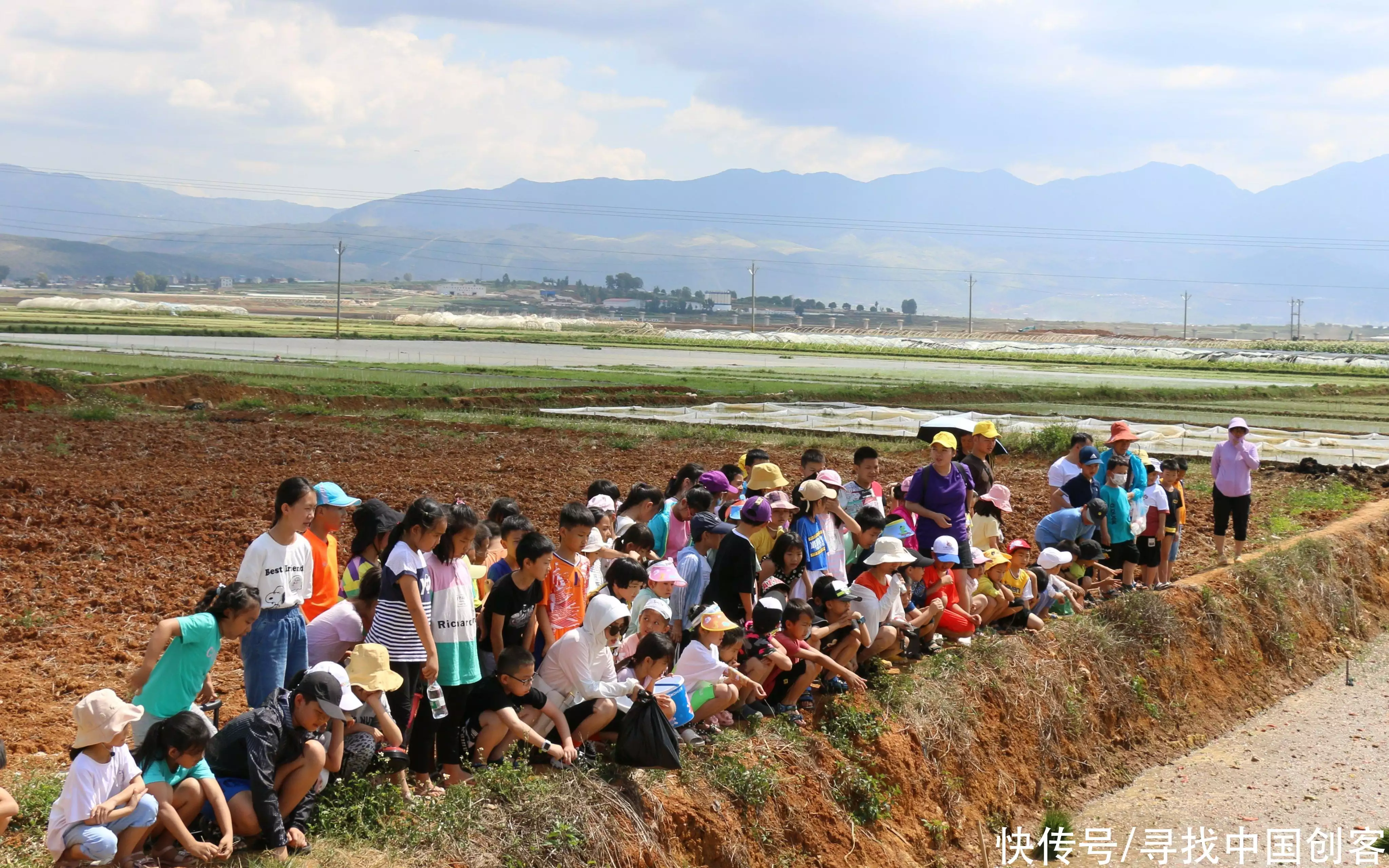 致富泡菜四川加盟电话_致富泡菜四川加盟费多少_致富经四川泡菜加盟