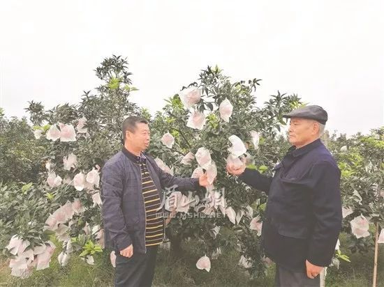 致富经泡菜_致富泡菜四川加盟费多少钱_致富经四川泡菜加盟