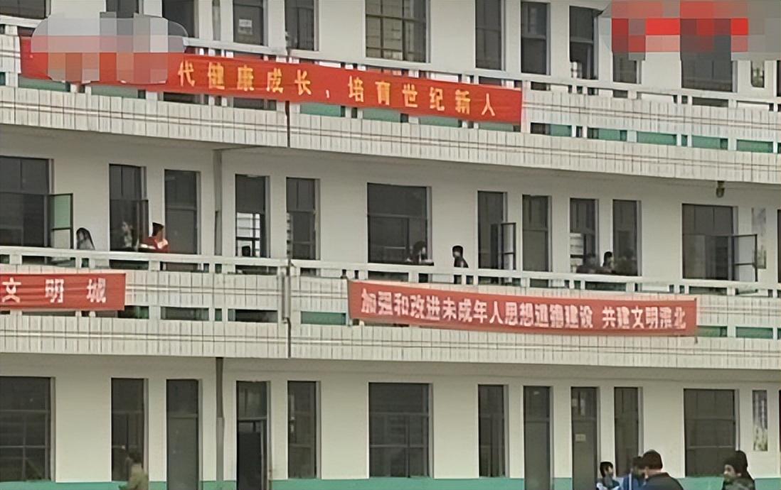 鱼鸭混养致富经_鸭鱼混养技术_致富鸭鱼混养视频