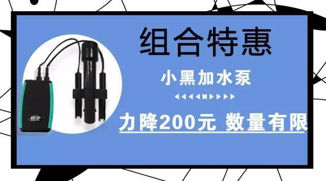 金钱龟让金钱不是梦——龟类产业发展的突破口