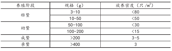 山瑞养殖场_山瑞养殖技术_山瑞养殖市场前景