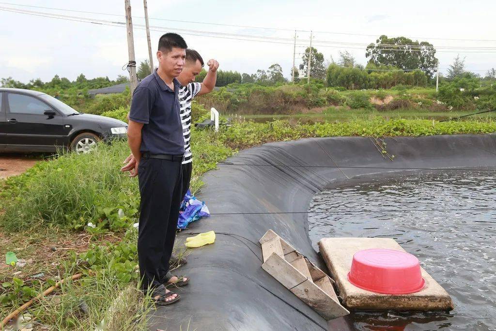 养殖致富虾视频_致富经河虾养殖视频_致富经养殖虾