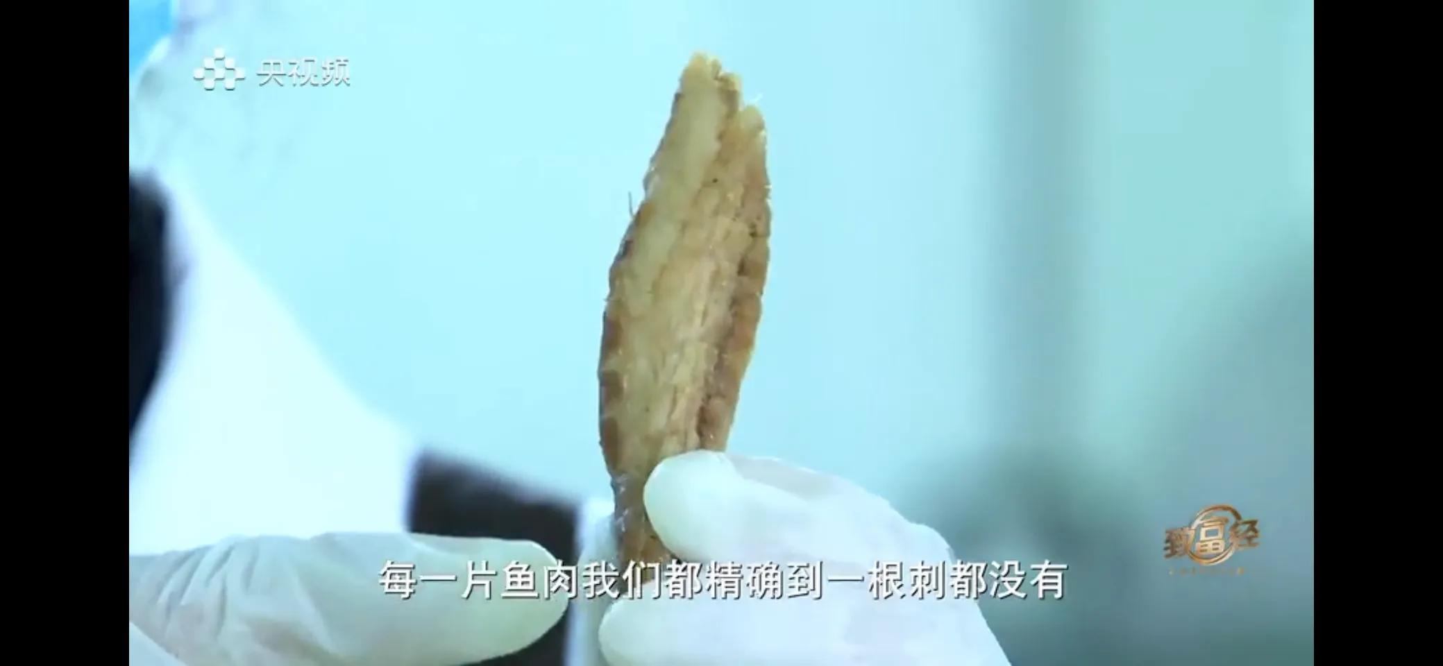 致富经鱼鸭混养视频_鱼鸭混养致富经_致富鸭鱼混养视频