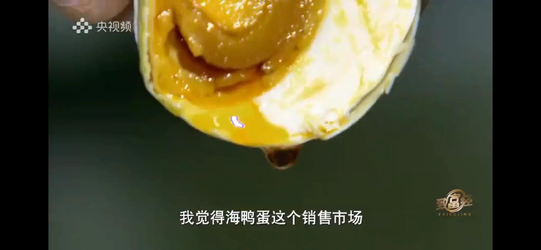 鱼鸭混养致富经_致富经鱼鸭混养视频_致富鸭鱼混养视频