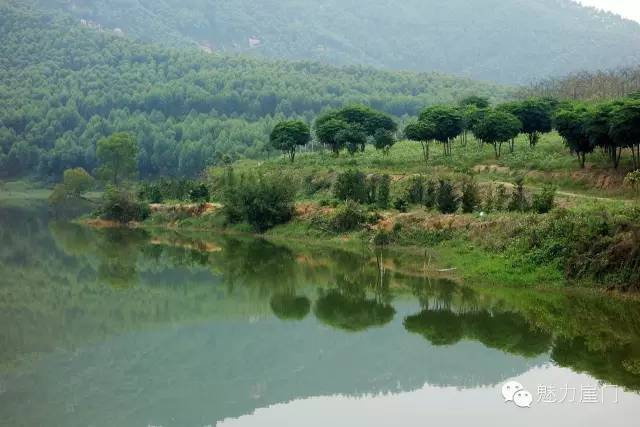 山丘种植致富_山丘适合种植什么_大山种出致富草