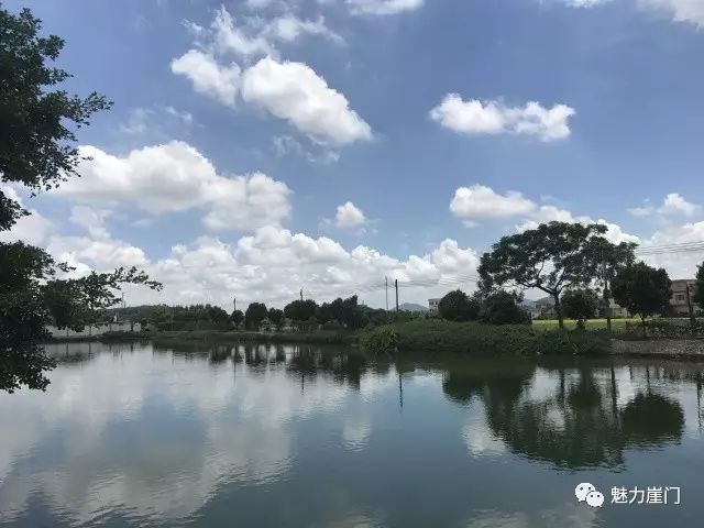 大山种出致富草_山丘种植致富_山丘适合种植什么