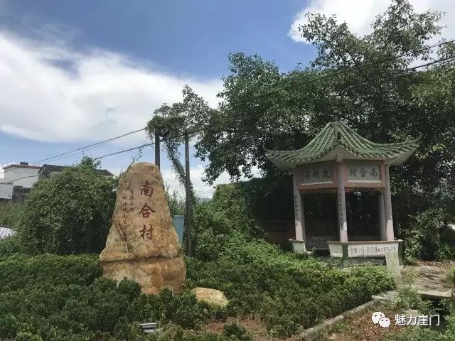 山丘适合种植什么_大山种出致富草_山丘种植致富